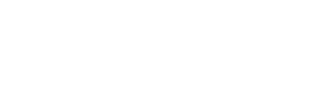 Official Airline Partner